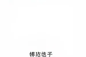 截图五个细节逐一标注的放大示意图